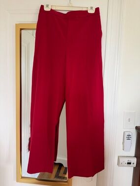 Banana Republic Wide-Leg Hayden Pants in Crimson Red, Size 6